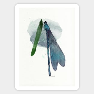 Damselfly Sticker